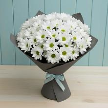 Букет цветов из:  Хризантемы #REPLACE_PRED# Каменск-Уральском