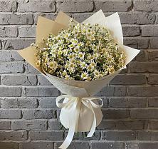 Букет цветов из:  Ромашки в Каменск-Уральском