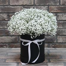 Цветочная композиция из Гипсофила в шляпной коробке в Каменск-Уральском