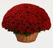 Премиум букет из: Розы в Каменск-Уральском
